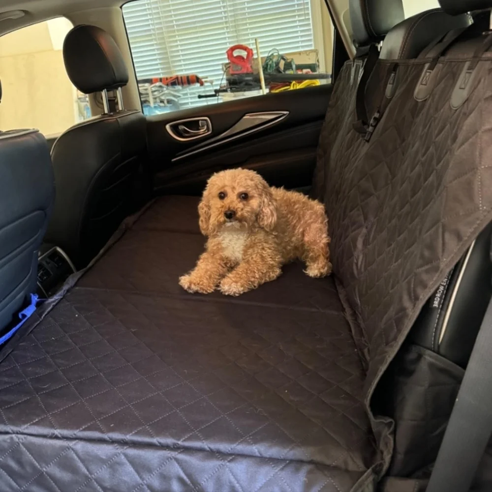 Premium Back Seat Cover for Dogs